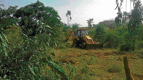 An earthmover deployed to clear the green cover near the BGS Global Hospital at Mylasandra village. DH photo