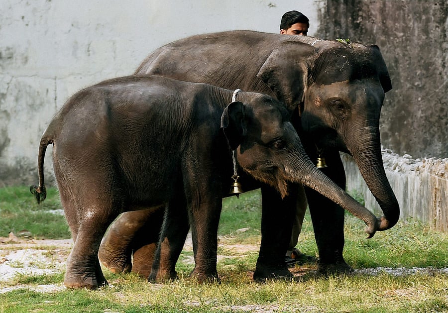 Rail fence to dot path along BNP connecting City
