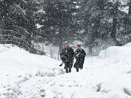 A representation photo.