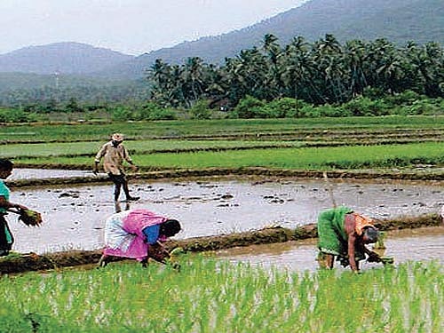NITI Aayog to review 12th Plan for fixing its fate