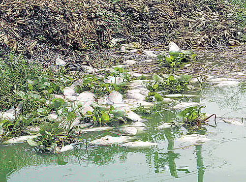 Mirabai is the first since Karnam Malleswari to bag any medal in weightlifting at the Olympics. Swipe up to read more!