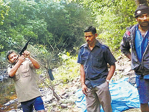 Showing off: Photographs of a group of men posing with guns inside a forest and their kills. Dh photos