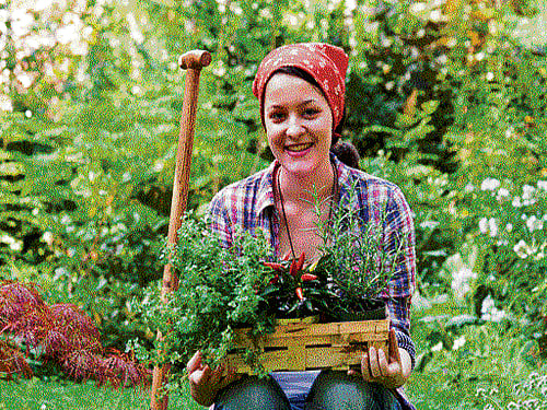 HEALTH wise Growing native veggies and herbs at home is healthy trend.