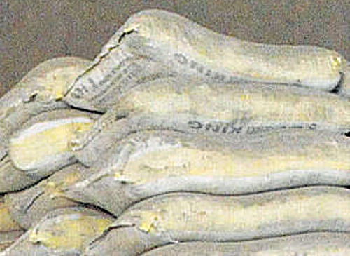 Bommai, 61, is expected to take oath as the state’s 26th chief minister on Wednesday.