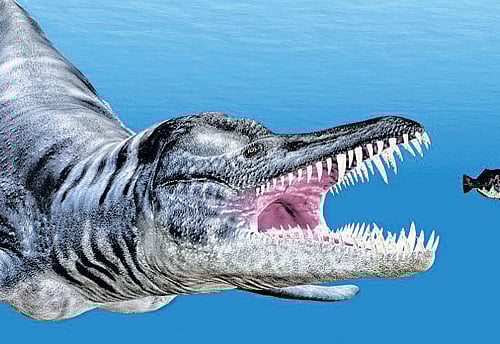 Yet another Scottish sea monster