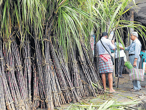 The BJP on Wednesday accused the State government of  being "selective" in seizure of sugar factory godowns for not paying the amount due to sugar cane growers. Dh File Photo.