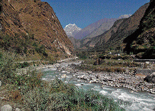 Scientists have discovered a delicate fern in the mountains of France that is the love child of two distantly-related groups of plants that have not interbred in 60 million years.INYT Image for representation