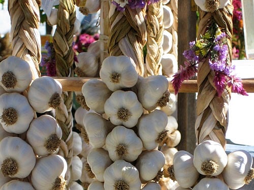 Spicing up your food with garlic can help protect your lungs against infections, suggests new research. DH File Photo.