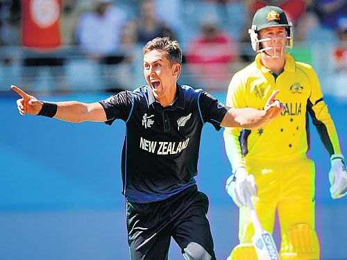 wrecker-in-chief: New Zealand's Trent Boult celebrates the dismissal of Australia's Mitchell Marsh on Saturday. AP