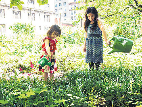 GREEN CAUSE The Lotus Garden, a community garden on West 97th Street between Broadway and West End Avenue, New York.