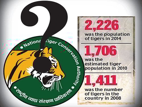In the wake of the latest tiger census figures released by the National Tiger Conservation Authority (NTCA) and the government which announced in January...