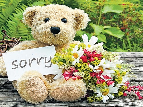 We have other options, of course. To kick ourselves, or to keep justifying our actions. Both raise our guilt quotient, share of anger, blood pressure, cortisol (stress hormone) levels, leading to mental and physical ailments. Or we can say 'sorry' and open a whole inner world of improvement and healing, as also a calmer environment for others.