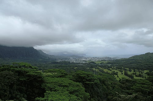 The government has merged National Mission for a Green India, which aims afforestation at 10 million hectares of land over the next decade, with MGNREGA to increase and improve the country's forest cover. Reuters File Photo For Representation