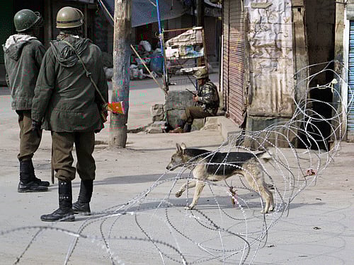 Softening its stand on the controversial Armed Forces Special Powers Act (AFSPA) in Jammu and Kashmir, BJP today said it was in favour of partial revocation of the law from the peaceful areas of the state. AP file photo