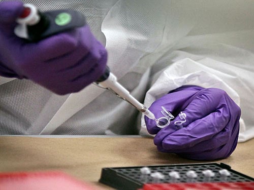 Scientists studied proteins found in cells, known as histones, which are not part of the genetic code, but act as spools around which DNA is wound. Histones are known to control whether or not genes are switched on. AP file photo