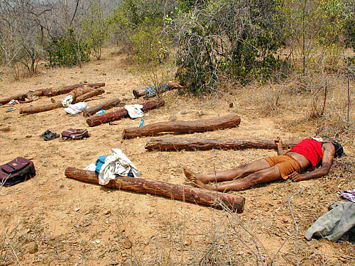 Bodies of people, who Indian police claim are suspected sandalwood smugglers killed during an operation by Indian security personnel, lie in the forest area of Chitoor district. Reuters Photo