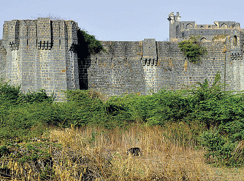 ROBUST STRUCTURES Bhatambra Fort; an arched hall in Bhalki Fort. PHOTOS BY AUTHOR