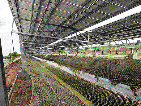 Solar. DH File Photo.