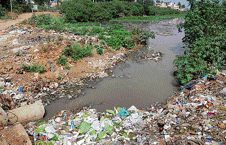 Tackle illegal dumping of garbage  on lake bund, say residents
