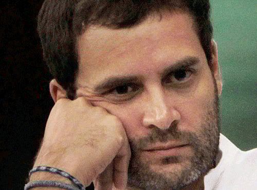 Congress vice-president Rahul Gandhi. PTI file photo
