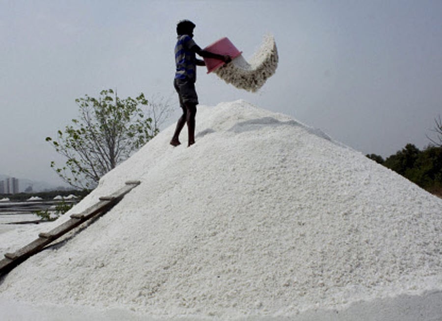 Salt. PTI File Photo.