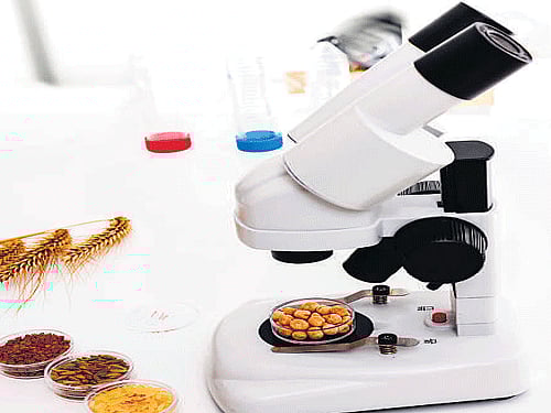 Sakata to invest Rs 100 cr in India