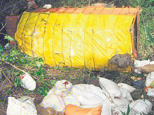 A truck fell into a ditch near Muluvalli village in NR Pura taluk on Friday. DH photo