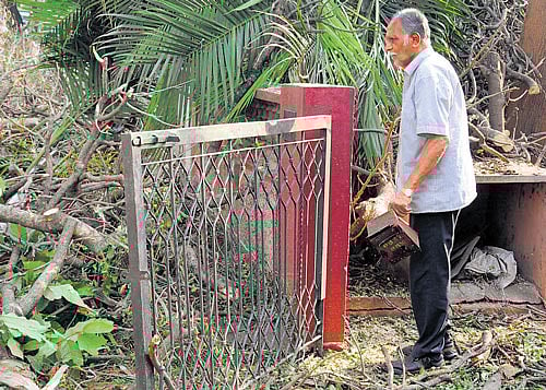 It was a huge relief for 78-year-old Bhaskar Y on Monday when the BBMP workers finally removed the tree that had fallen on the gate of his house on 12th Cross, Wilson Garden, five days ago.