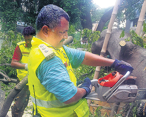 Jude Rajesh Ferrao cutting a tree with the machine. DH Photo