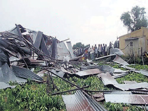 The roof of a brick manufacturing unit flew off due to heavy winds, at D B Saragur, in Mysuru district on Friday. DH PHOTO