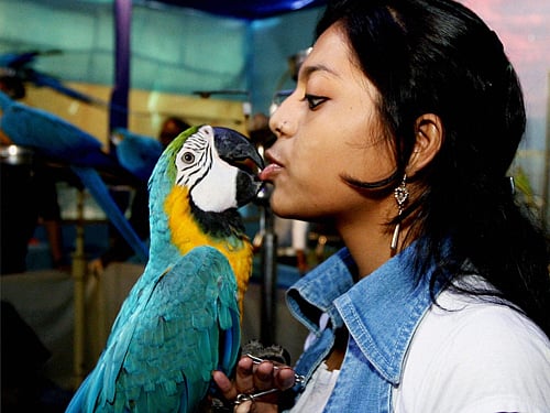 PTI photo for representation only