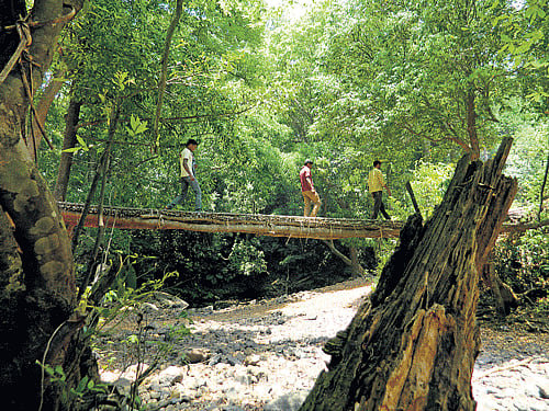 A temporary bridgemadeof local materials in Diggi area in Joida taluk;