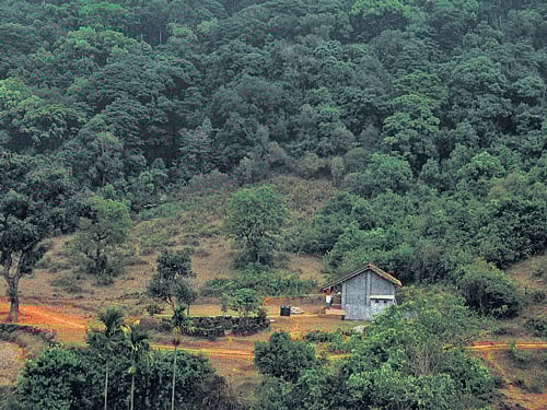 Primary school in Patagudi.