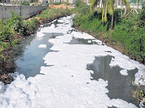 Froth covers the Belandur lake. DH PHOTO/KISHOR KUMAR BOLAR