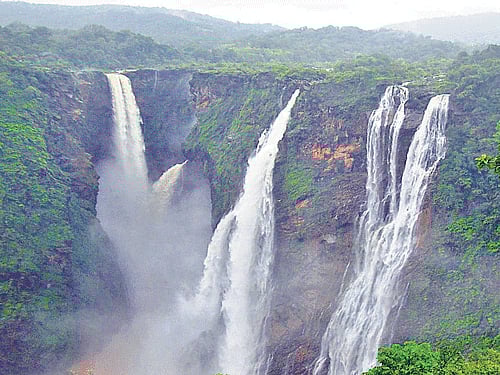 The Great Canara trails will start at Jog Falls. DH PHOTO
