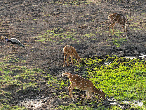 PTI File Photo For Representation