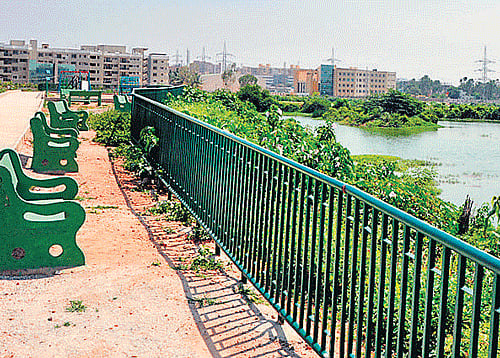 The rejuvenated lake will be thrown open to public on Thursday.  DH photo