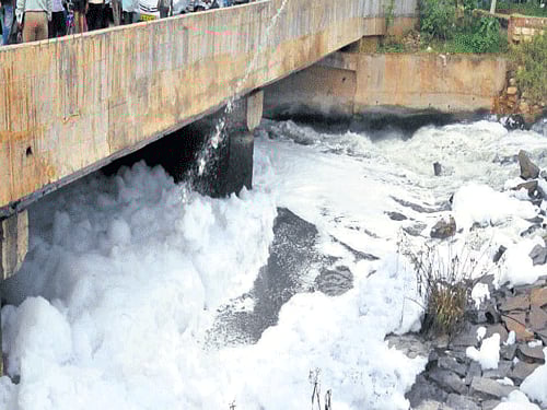 Water bodies are increasingly getting polluted.