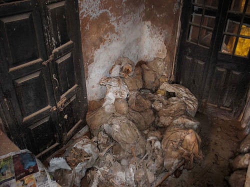 skeletons. PTI File Photo for representation purpose only.