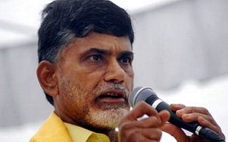 Andhra Pradesh Chief Minister N Chandrababu Naidu. PTI File photo