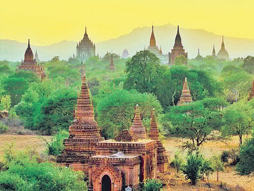 Golden Splendour A view of the pagodas in the early hours of the day.