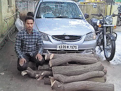 Busted The suspected poacher, Imadullah, with the stolen Sandalwood. DH photo