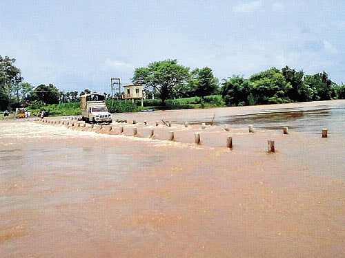 A vehicle negotiates the flooded Akkol-Hunnargi bridge across river Vedganga in Chikkodi taluk in Belagavi district on Thursday. DH photo