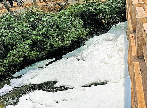 Frothing Varthur Lake