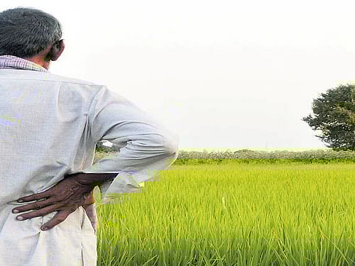 ...with the journey also earning him a place in the annals of Indian Administrative Service (IAS).