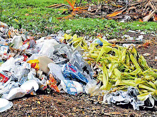 Uncleared trash leaves Lalbagh not so flowery