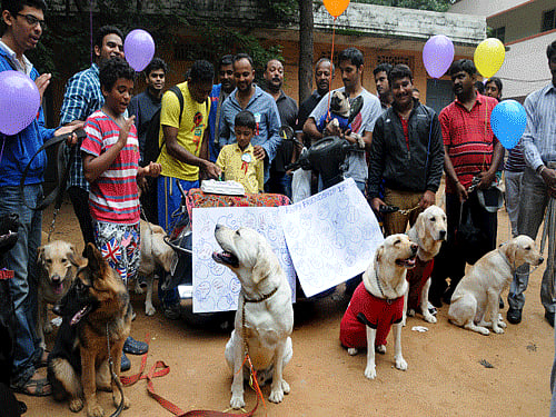 DH file photo. For representation purpose