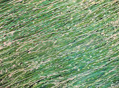 INDO-POLISH AESTHETICS Apainting by Justyna Cwika. PHOTOS BY AUTHOR