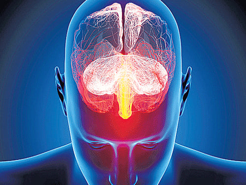 In the new experiment, 344 participants alternated between a working memory task designed to engage the frontal cortex and a control task. File Photo for representation.