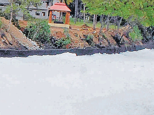 SOAPY: Frothing continued at the Bellandur lake for the second day on Sunday. DH Photo